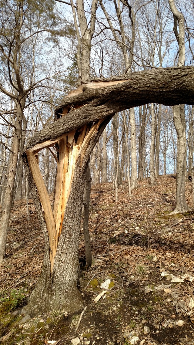 IMG_20170312_154411141