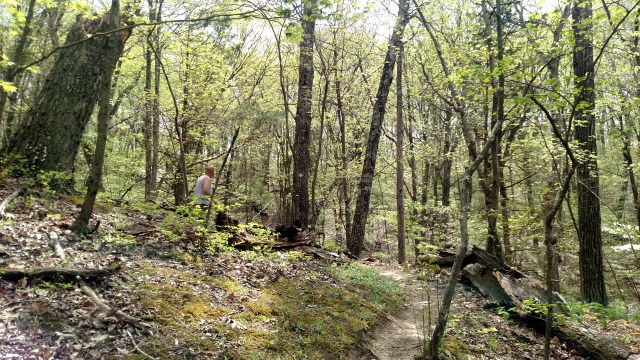 IMG_20170415_134952683