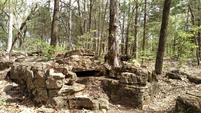 IMG_20170415_143846125