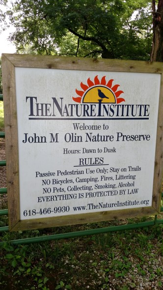 IMG_20170618_114529596