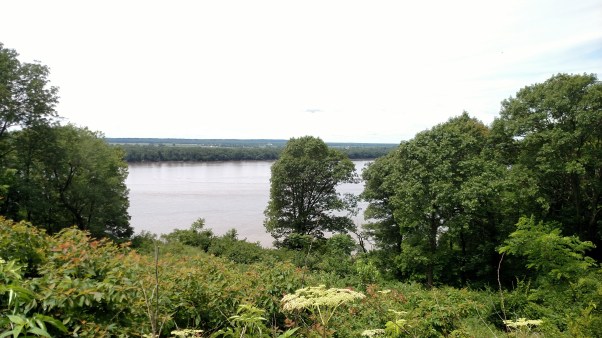 IMG_20170618_120546090