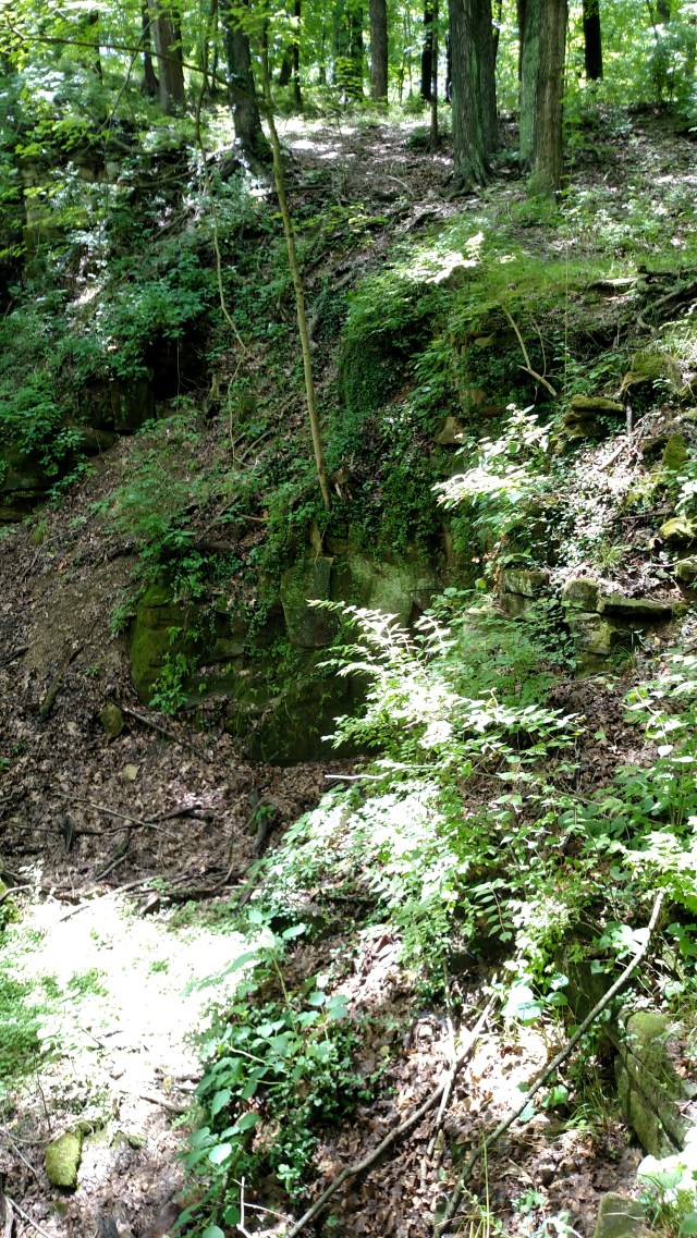 IMG_20170618_123118431