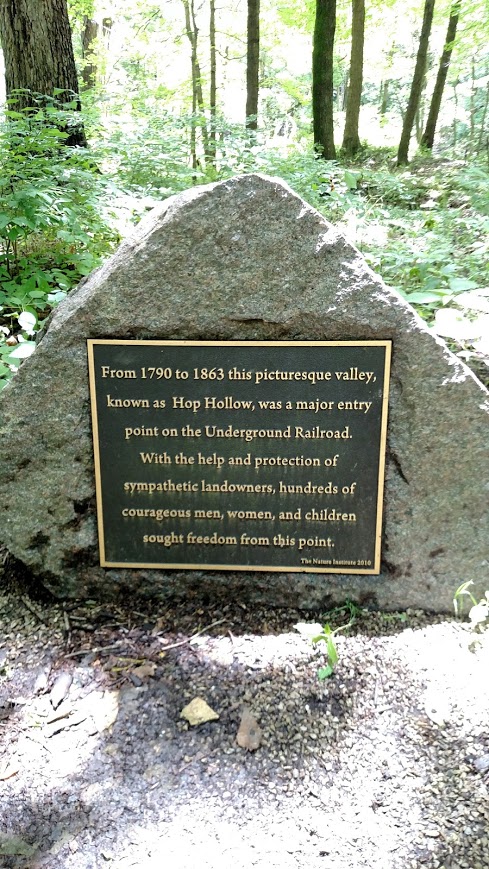 IMG_20170618_123534378