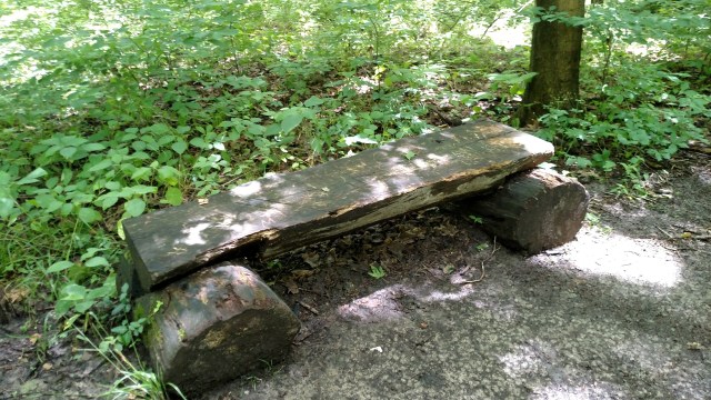 IMG_20170618_123605884