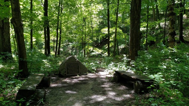 IMG_20170618_123621110