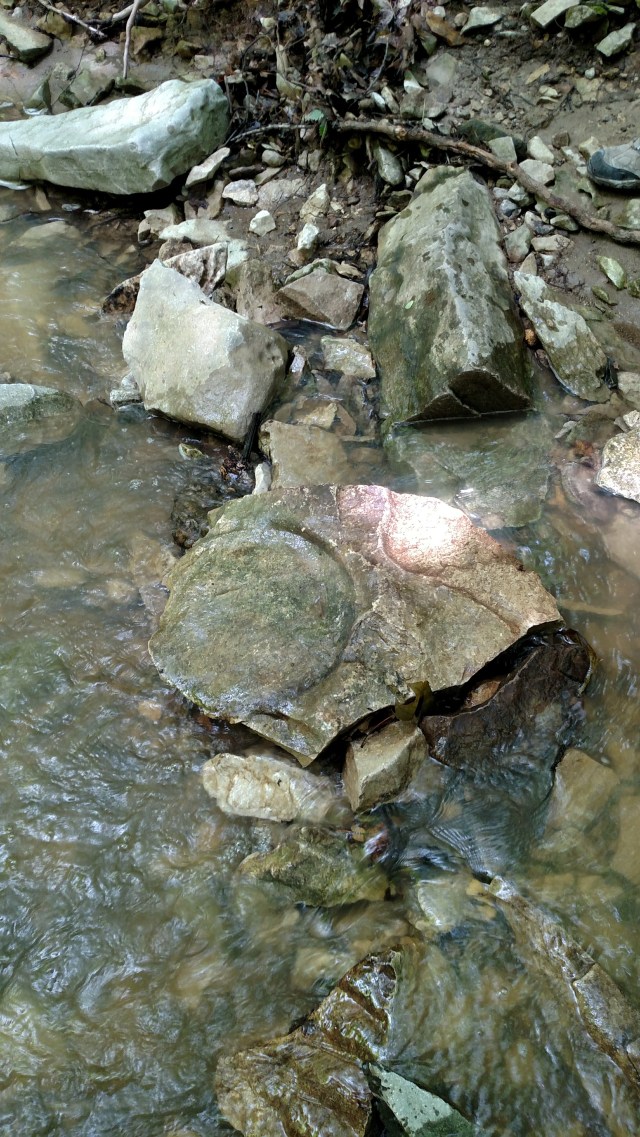 IMG_20170618_125152795