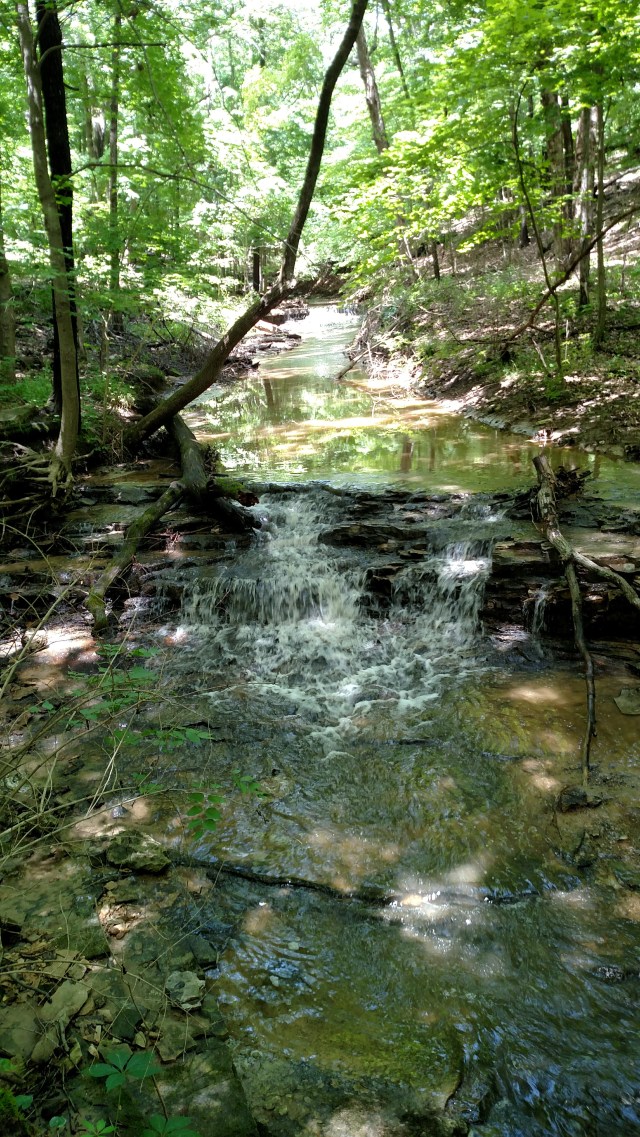 IMG_20170618_130612554