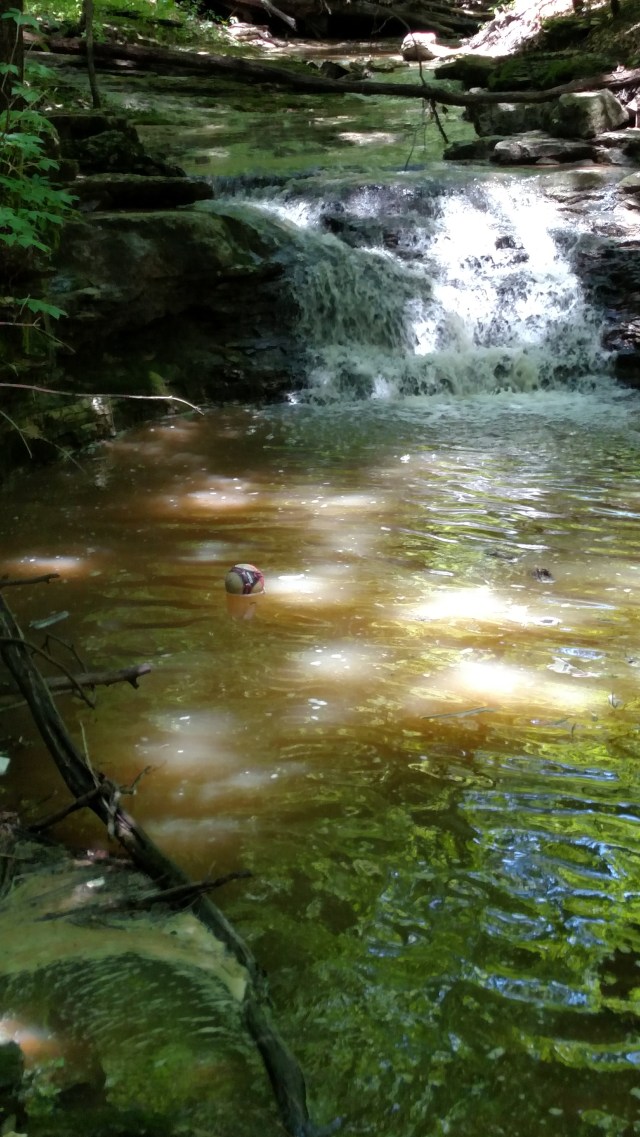 IMG_20170618_131359355