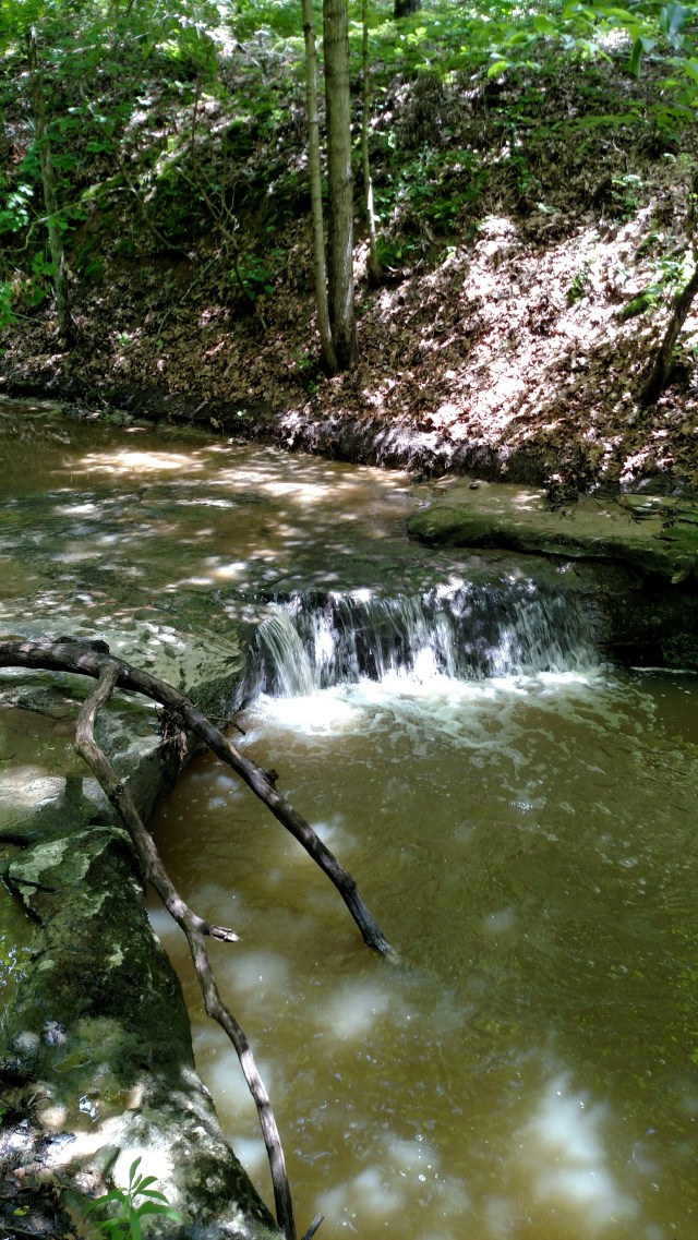 IMG_20170618_132017579