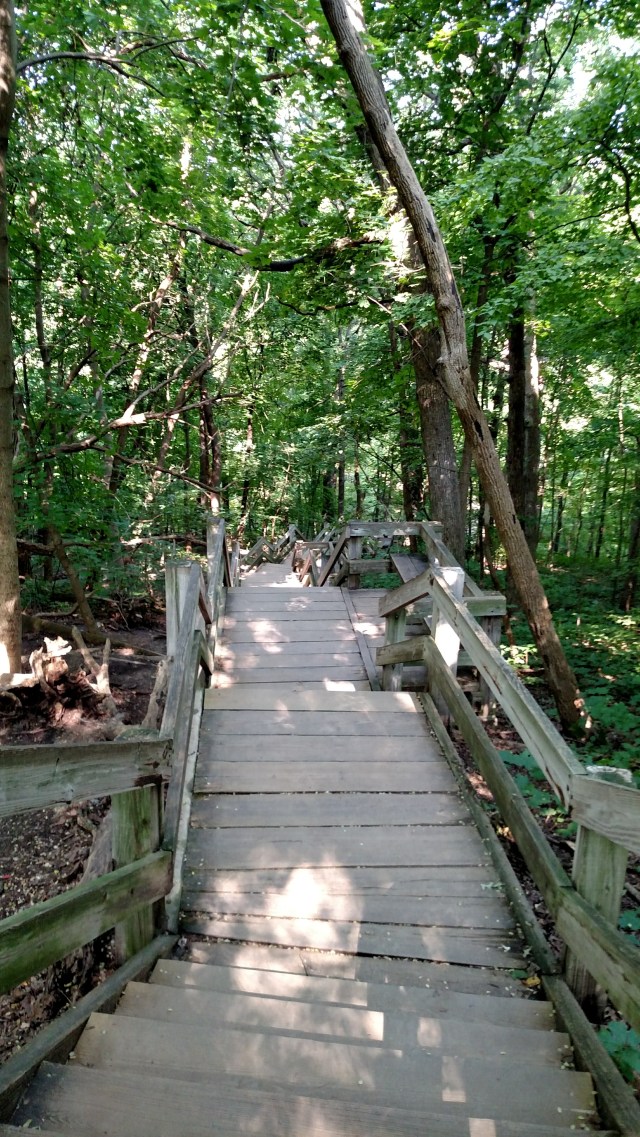 IMG_20170805_092941055