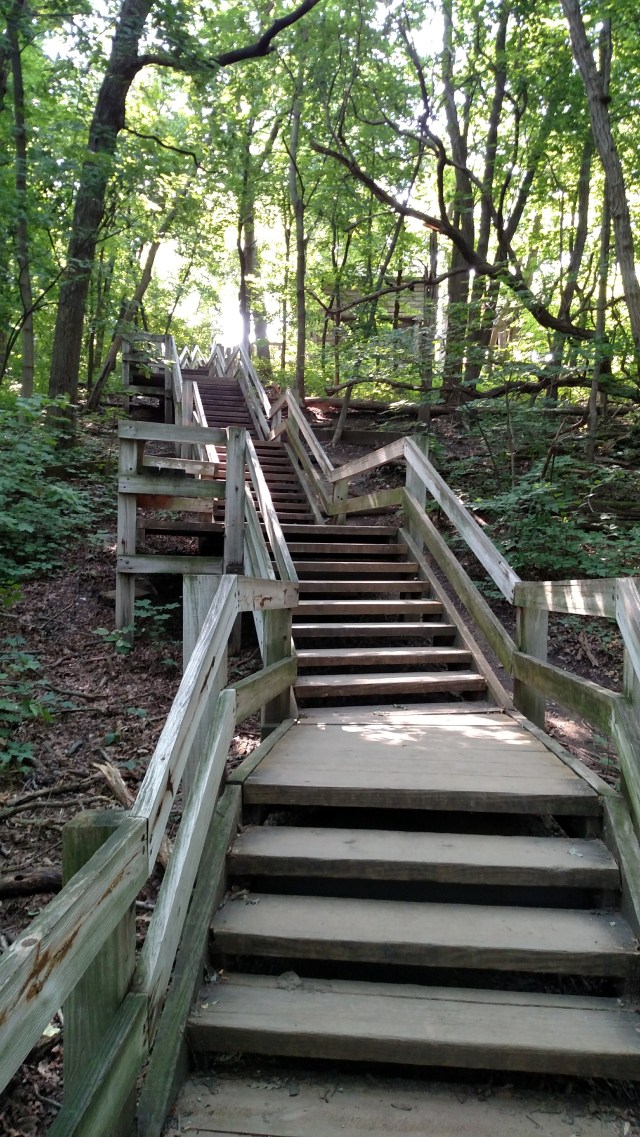 IMG_20170805_093138294