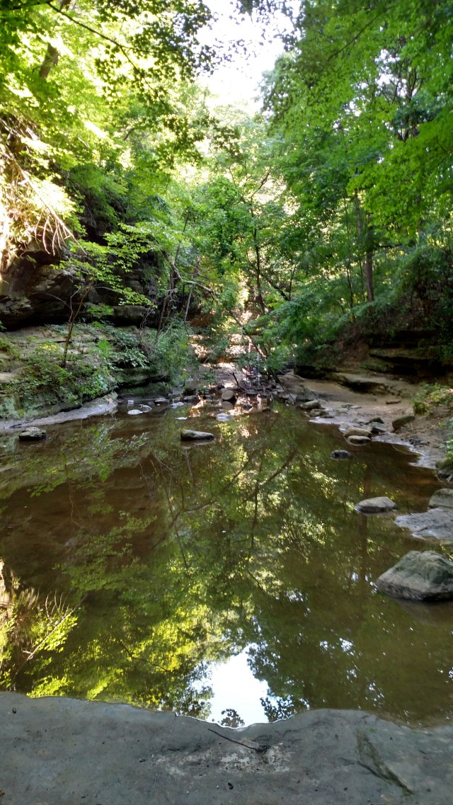 IMG_20170805_094111996_HDR