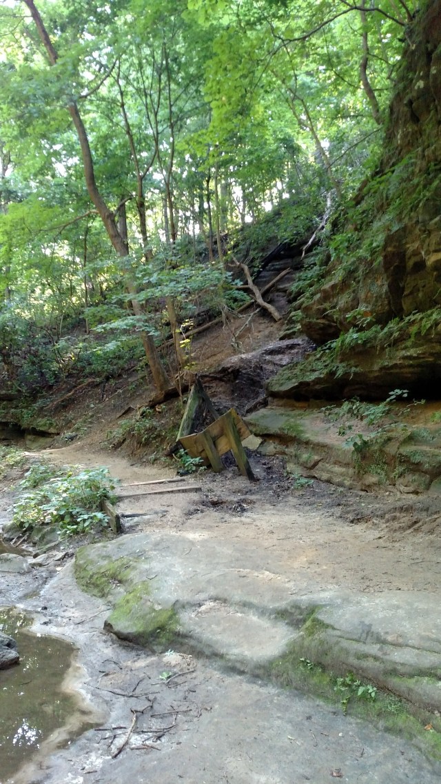 IMG_20170805_094117133