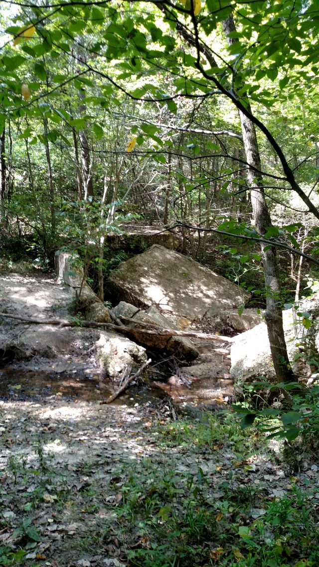 IMG_20170902_125124346