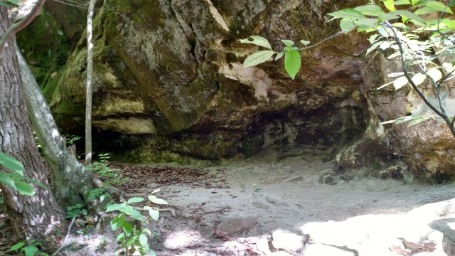 IMG_20170902_130114333_HDR