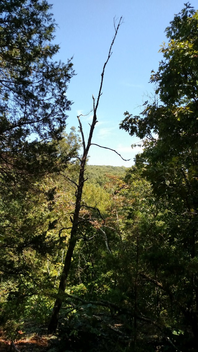 IMG_20170902_131851965