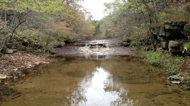 IMG_20171008_123631469