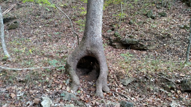 IMG_20171008_131405942