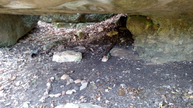 IMG_20171008_150554331