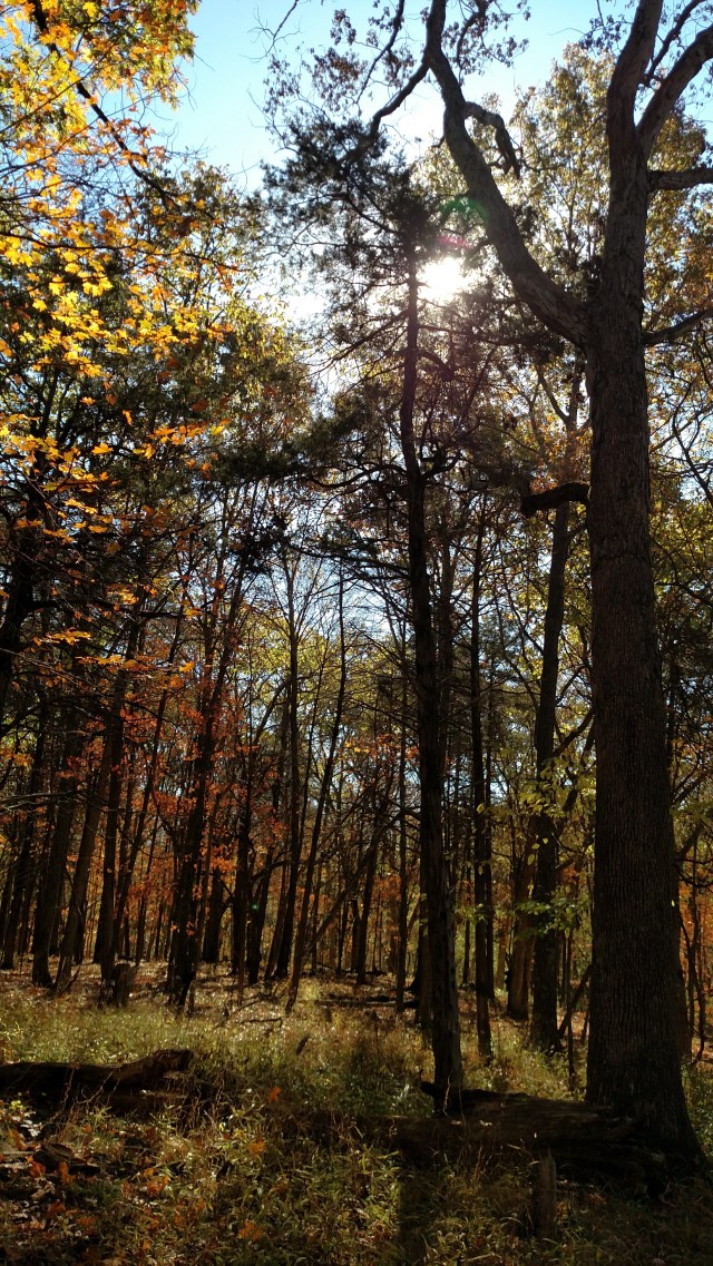 IMG_20171029_111447689