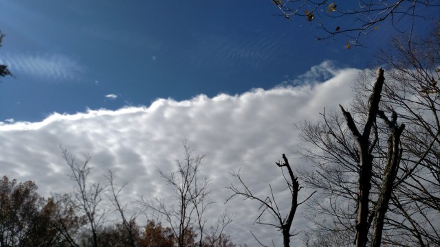 IMG_20171029_121652083