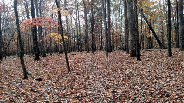 IMG_20171029_135820348