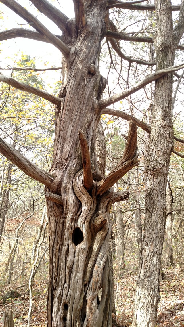 IMG_20171029_140842668