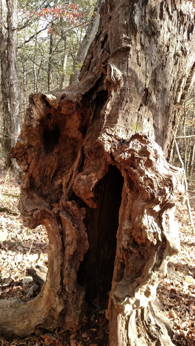 IMG_20171029_144303329