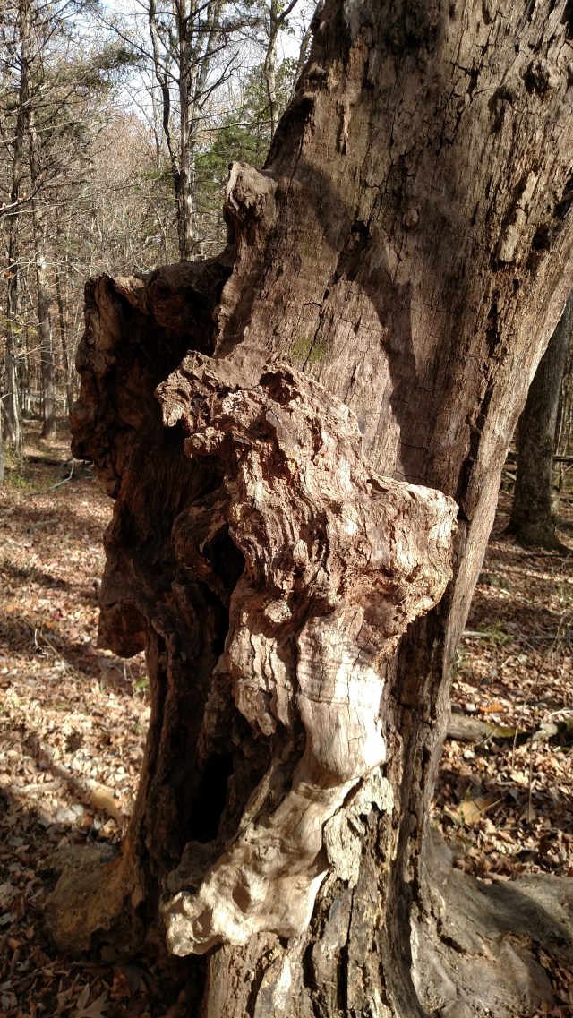 IMG_20171029_144319221